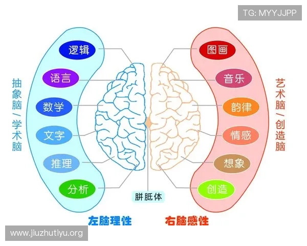 云平台体育特长参与情况分析在青少年体育健康促进中的应用研究 云平台体育特长参与情况分析在青少年体育健康促进中的应用研究